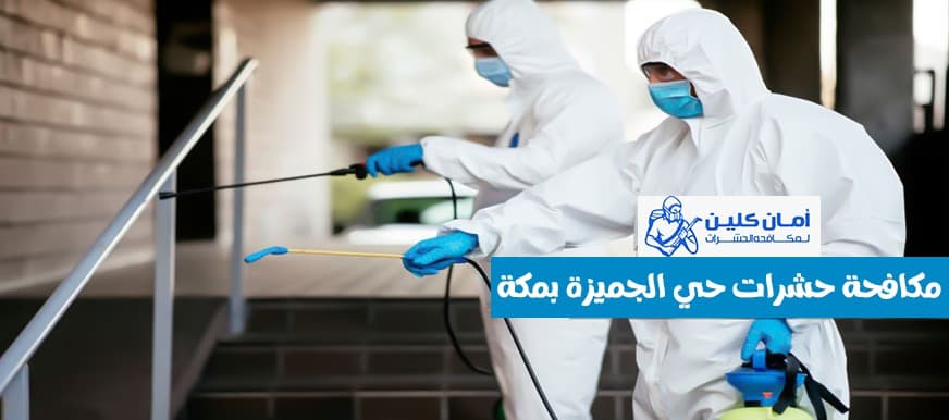 شركة مكافحة حشرات حي الجميزة بمكة